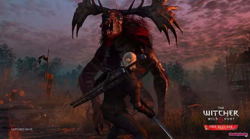 The_Witcher_3_02
