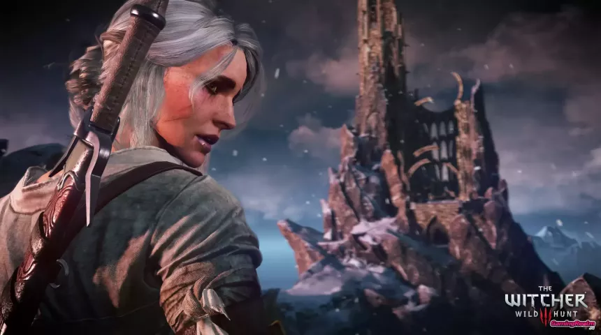 The_Witcher_3_08