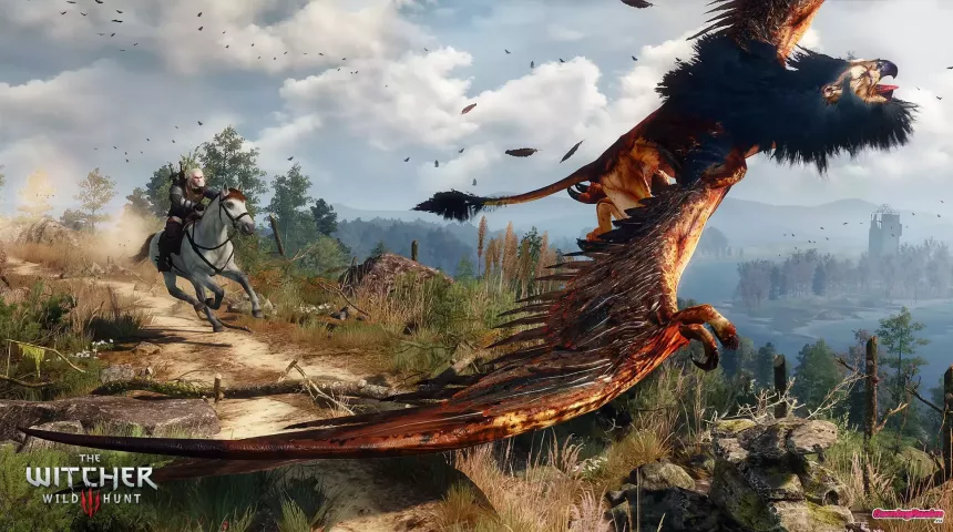 The_Witcher_3_09