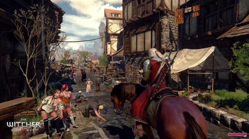 The_Witcher_3_10