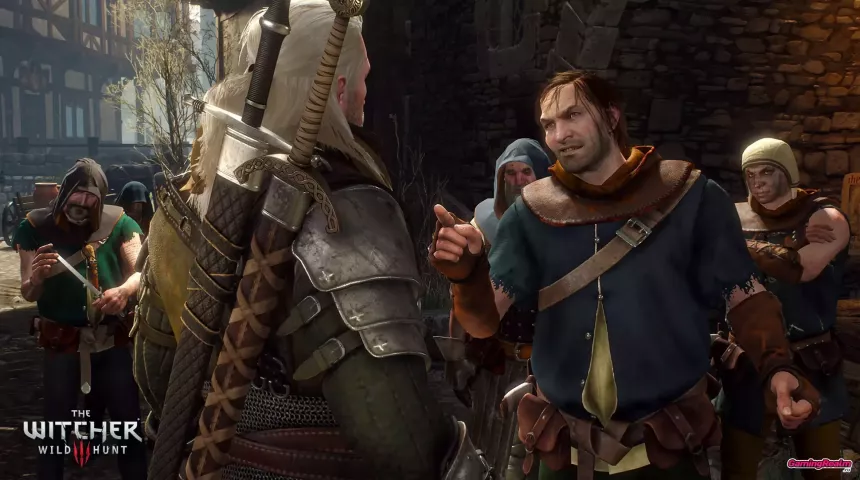 The_Witcher_3_11