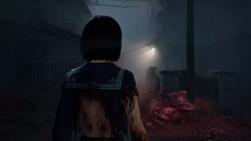 Silent Hill f - g20