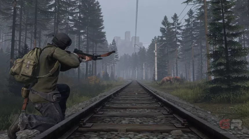 DayZ 06