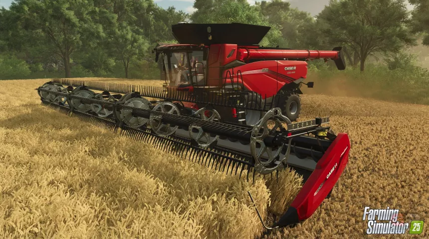 fs25-12