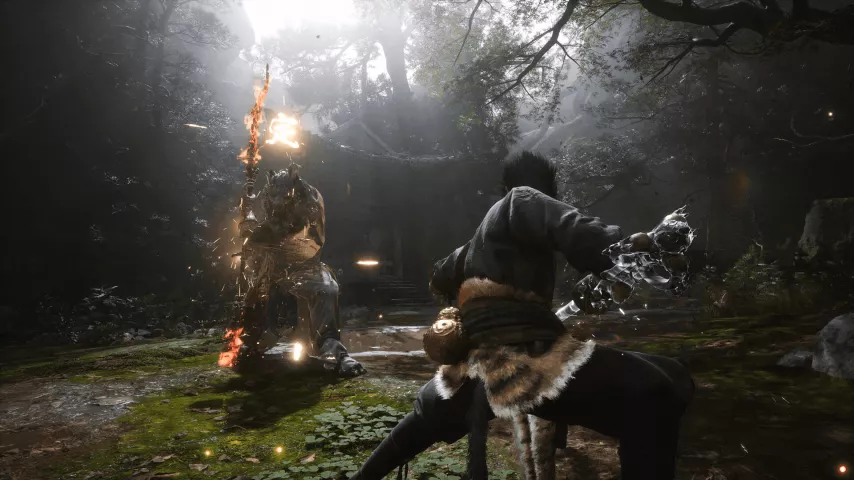 Black Myth Wukong 01