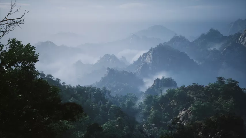 wukong 13