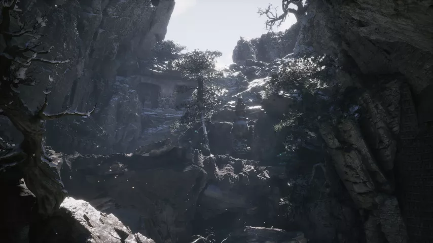 wukong 14