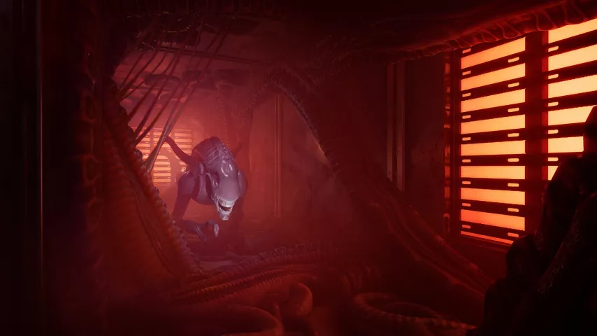 Alien 08