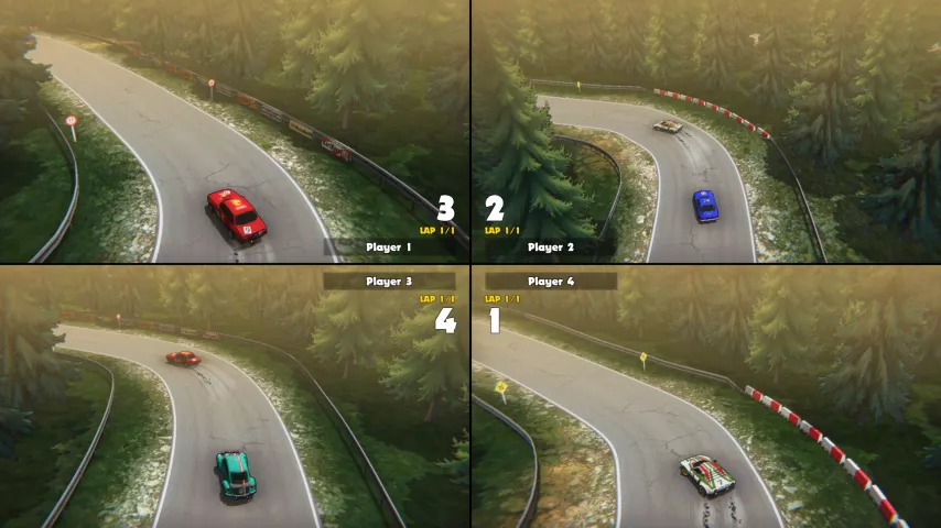 Super Woden Rally Edge 03