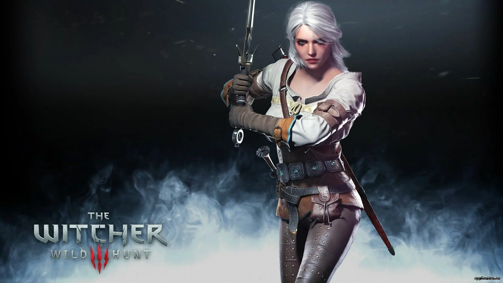 The Witcher 4